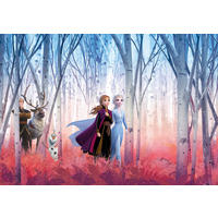 FOTOTAPET 368/254 cm  - multicolor, Basics (368/254cm) - Komar