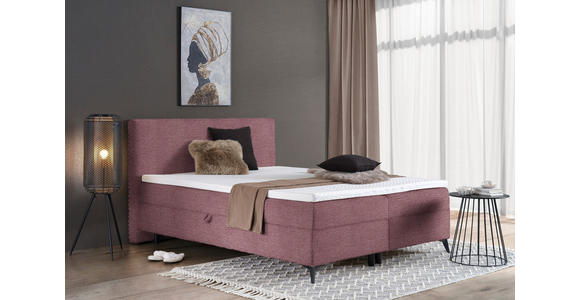 BOXBETT 180/200 cm in Beere - Beere/Schwarz, Design, Holz/Holzwerkstoff (180/200cm) - Xora