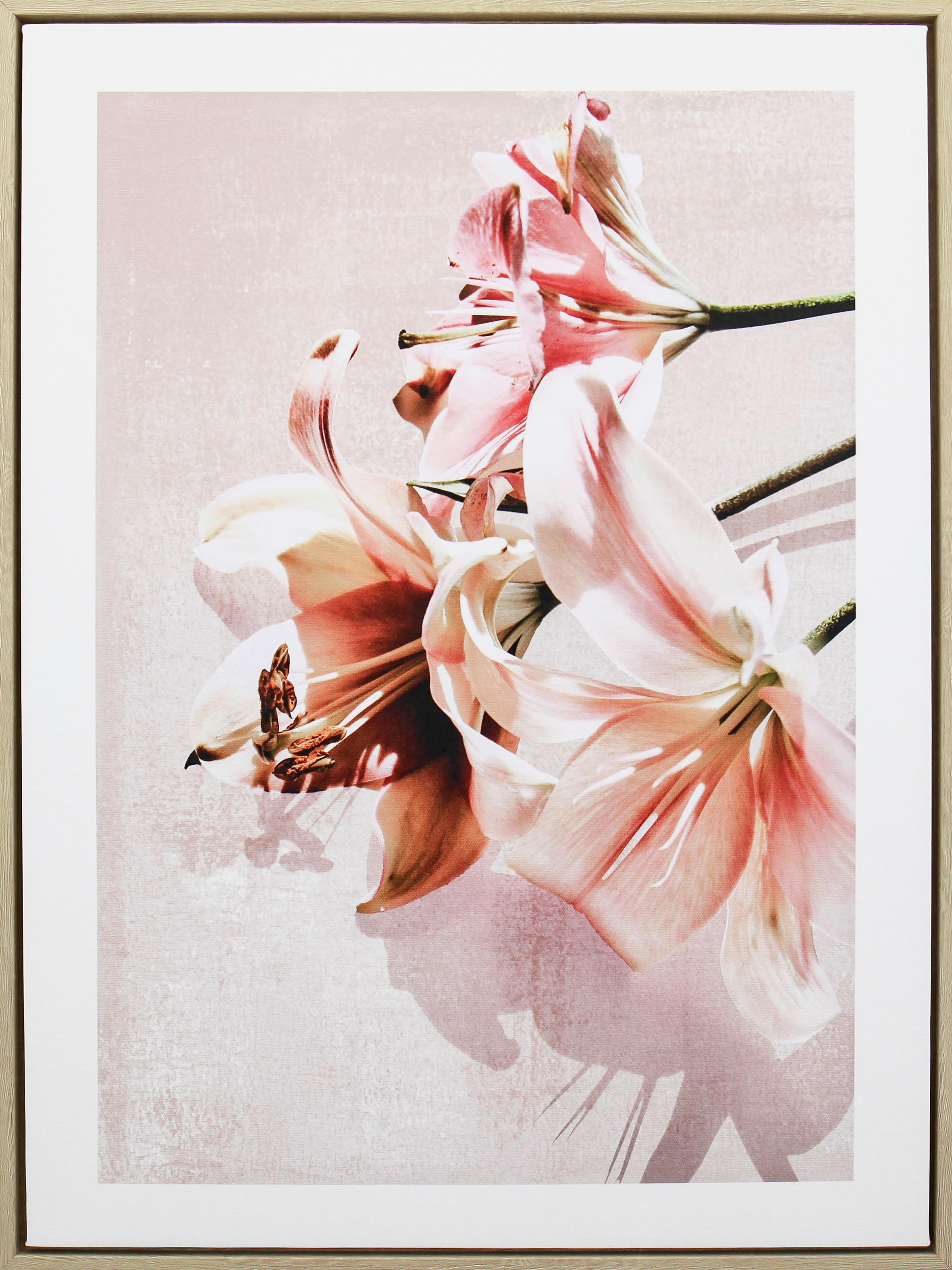 UMĚLECKÝ TISK, květiny, 45/60 cm  - bílá/růžová, Natur, kompozitní dřevo/textil (45/60cm) - Monee