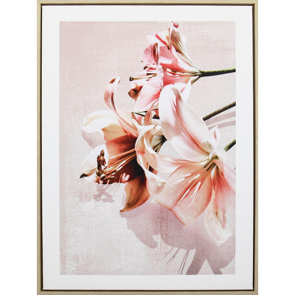 Monee TIŠTĚNÉ OBRAZY NA PLÁTNĚ, květiny, 45/60 cm - růžová,bílá