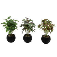 VEŠTAČKA BILJKA          31 cm    - zelena/tamnozelena, Osnovno, plastika (31cm)