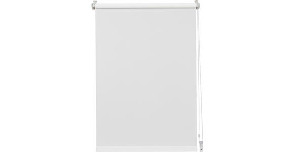 ROLLO 100/160 cm  - Weiß, Design, Kunststoff (100/160cm) - Boxxx