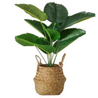 OKRASNA RASTLINA - zelena/naravne barve, Basics, kamen/umetna masa (14/14/45cm) - Boltze Home