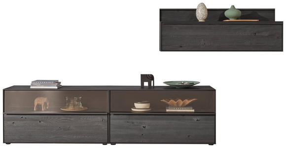 WOHNWAND in Anthrazit 308/151/49 cm - Anthrazit/Schwarz, Design, Glas/Holz (308/151/49cm) - Johann Jakob