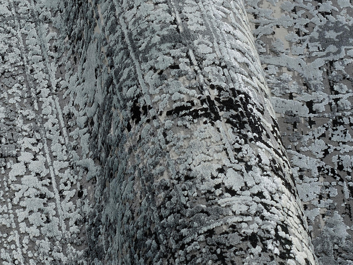 VINTAGE-TEPPICH 240/340 cm Grau  - Grau, Design, Textil (240/340cm) - Dieter Knoll