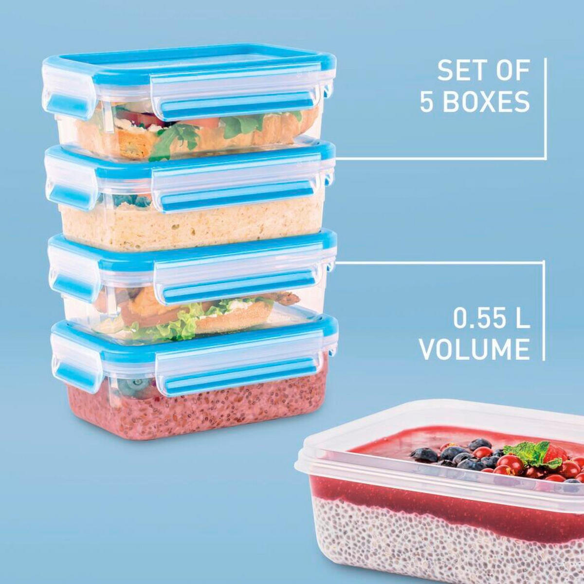 FRISCHHALTEDOSENSET Clip & Close 5-teilig  - Transparent, Basics, Kunststoff (16,7/11,7/27,1cm) - Emsa