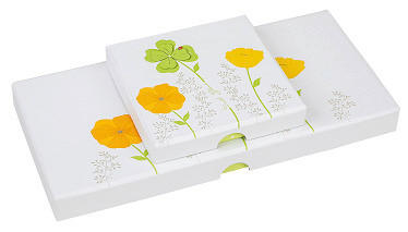 GESCHENKBOX  - Multicolor, Basics, Karton (23/2/11cm)