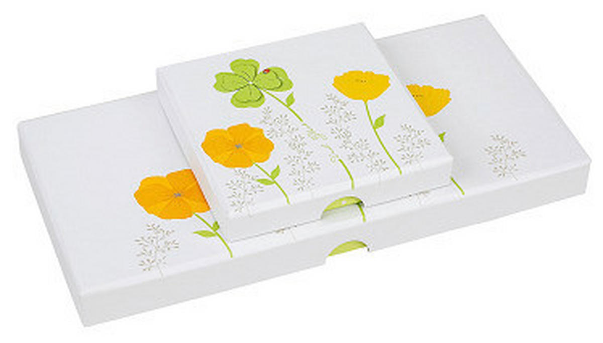 GESCHENKBOX  - Multicolor, Basics, Karton (23/2/11cm)