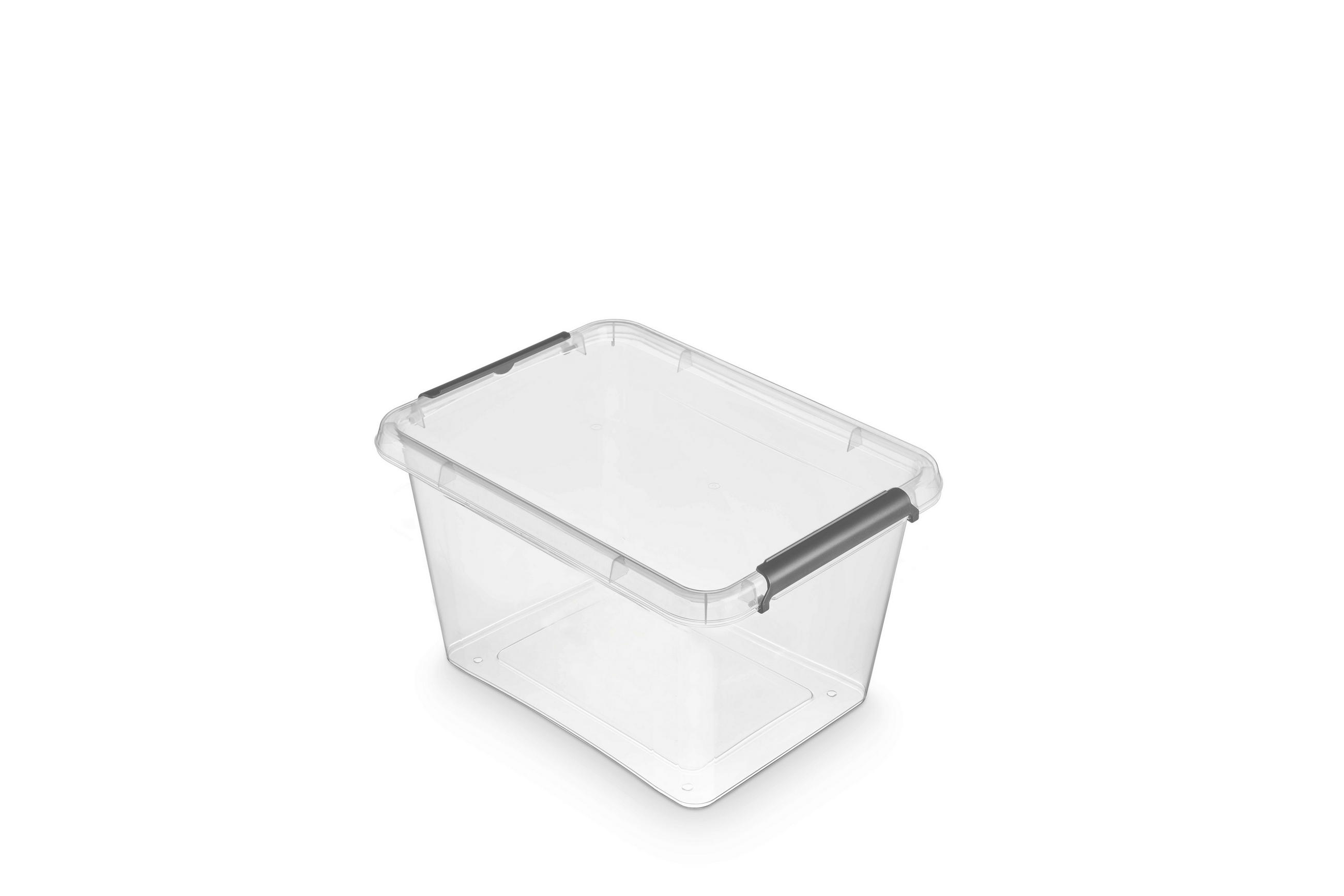 KUTIJA S POKLOPCEM 39/29/21 cm - prozirno, Basics, plastika (39/29/21cm)
