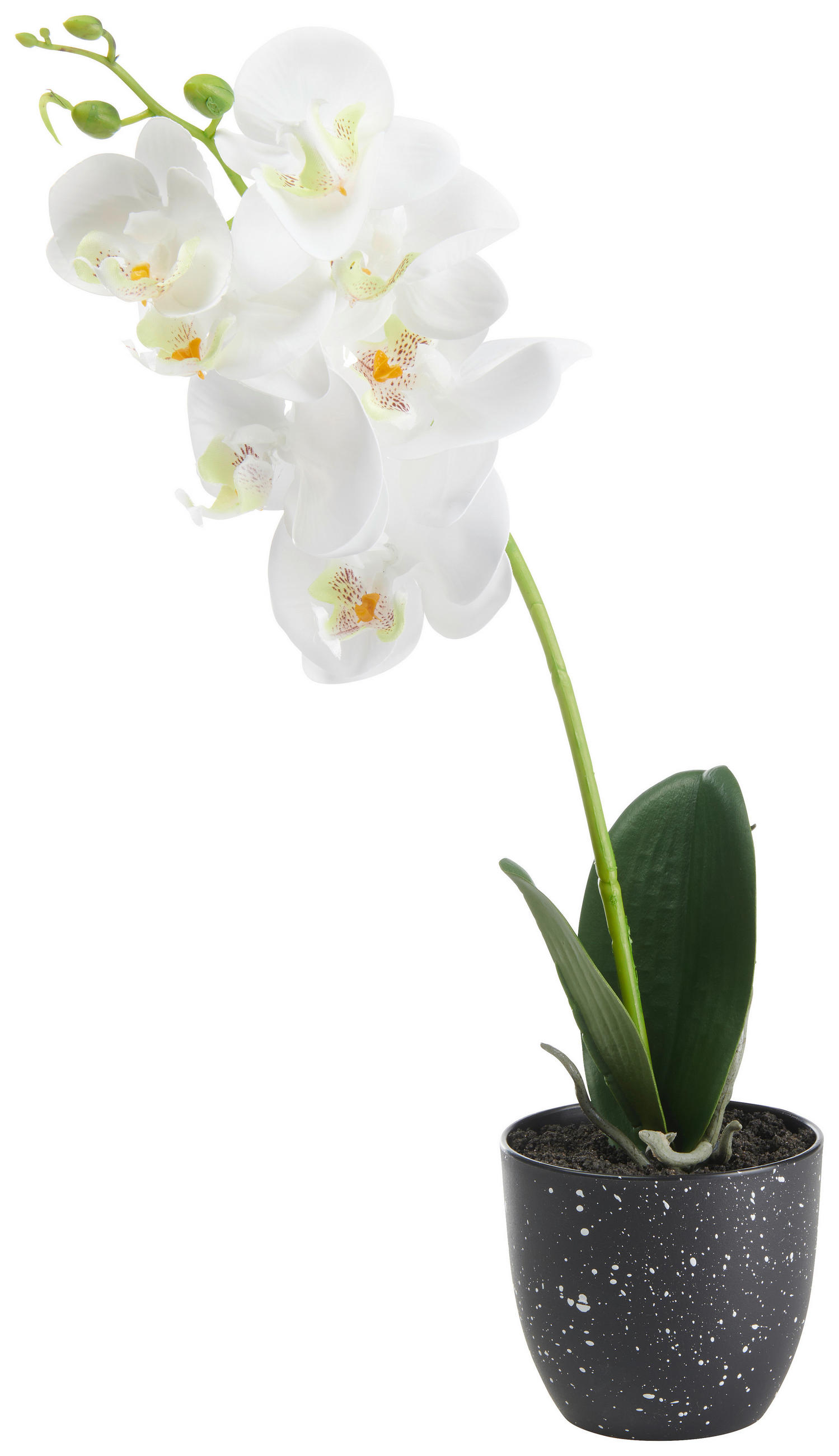 KONSTBLOMMA - grön/svart, Basics, textil/plast (36cm)
