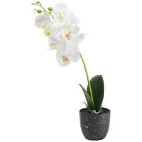 KONSTBLOMMA - grön/svart, Basics, textil/plast (36cm)
