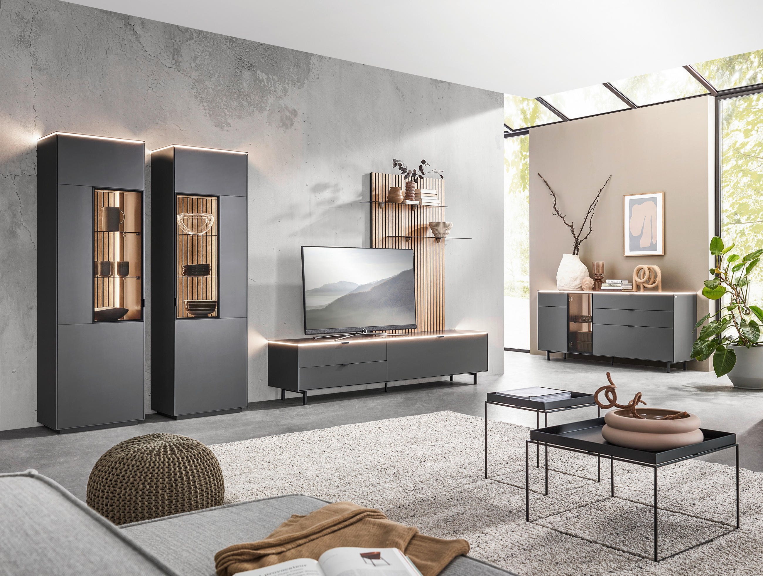 DNEVNI REGAL, antracit, naravne barve, barve hrasta - črna/barve hrasta, Design, kovina/steklo (216/198,3/46cm) - Dieter Knoll