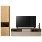 WOHNWAND  in Grau, Eichefarben  285/215/45 cm  - Eichefarben/Schwarz, KONVENTIONELL, Glas/Holzwerkstoff (285/215/45cm) - Venda