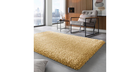 HOCHFLORTEPPICH 240/300 cm Anthrazit  - Anthrazit, KONVENTIONELL, Textil (240/300cm) - Novel