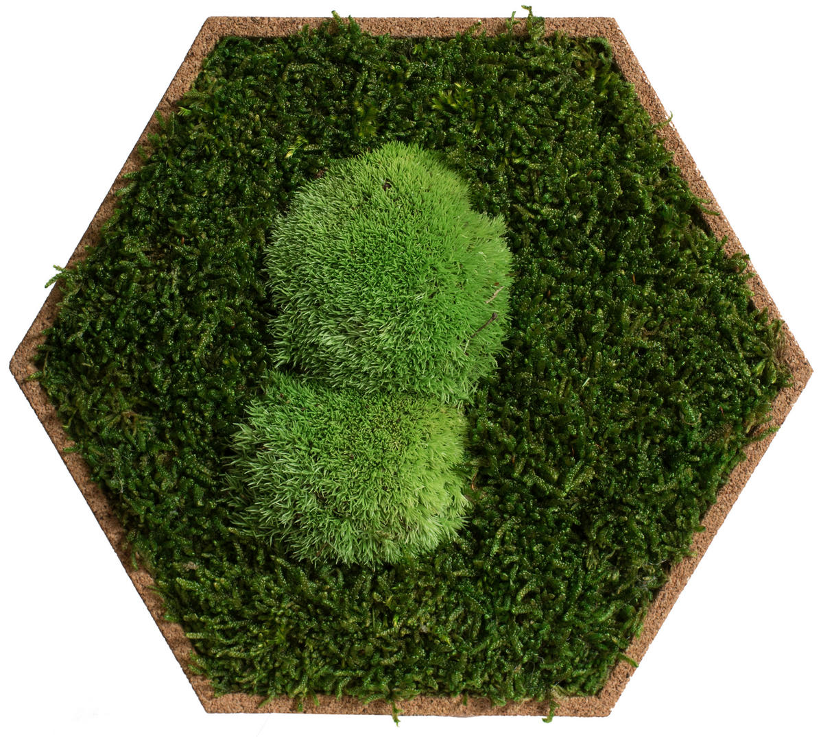 MOOSPANEEL Stylegreen  - Hellbraun/Grün, Basics, Naturmaterialien/Holz (19/22cm)