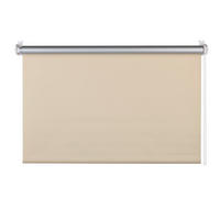 ROLLO  halbtransparent  75/160 cm    - Beige, Basics, Kunststoff (75/160cm)