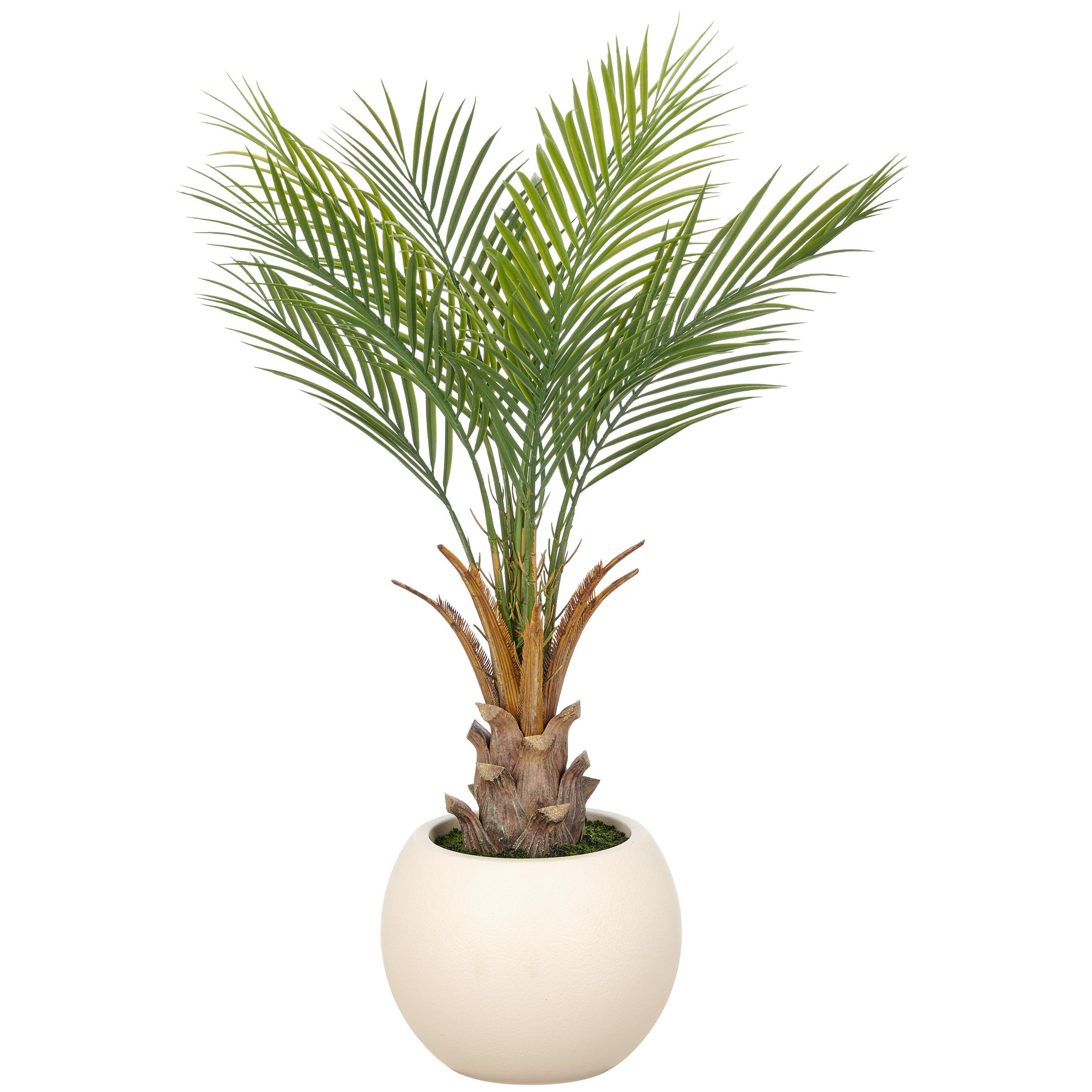 KUNSTPFLANZE Palme 90 cm  - Creme/Braun, Basics, Kunststoff (90cm)