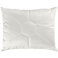 KOPFPOLSTER 70/90 cm  Klimakomfort  - Basics, Textil (70/90cm) - Sleeptex