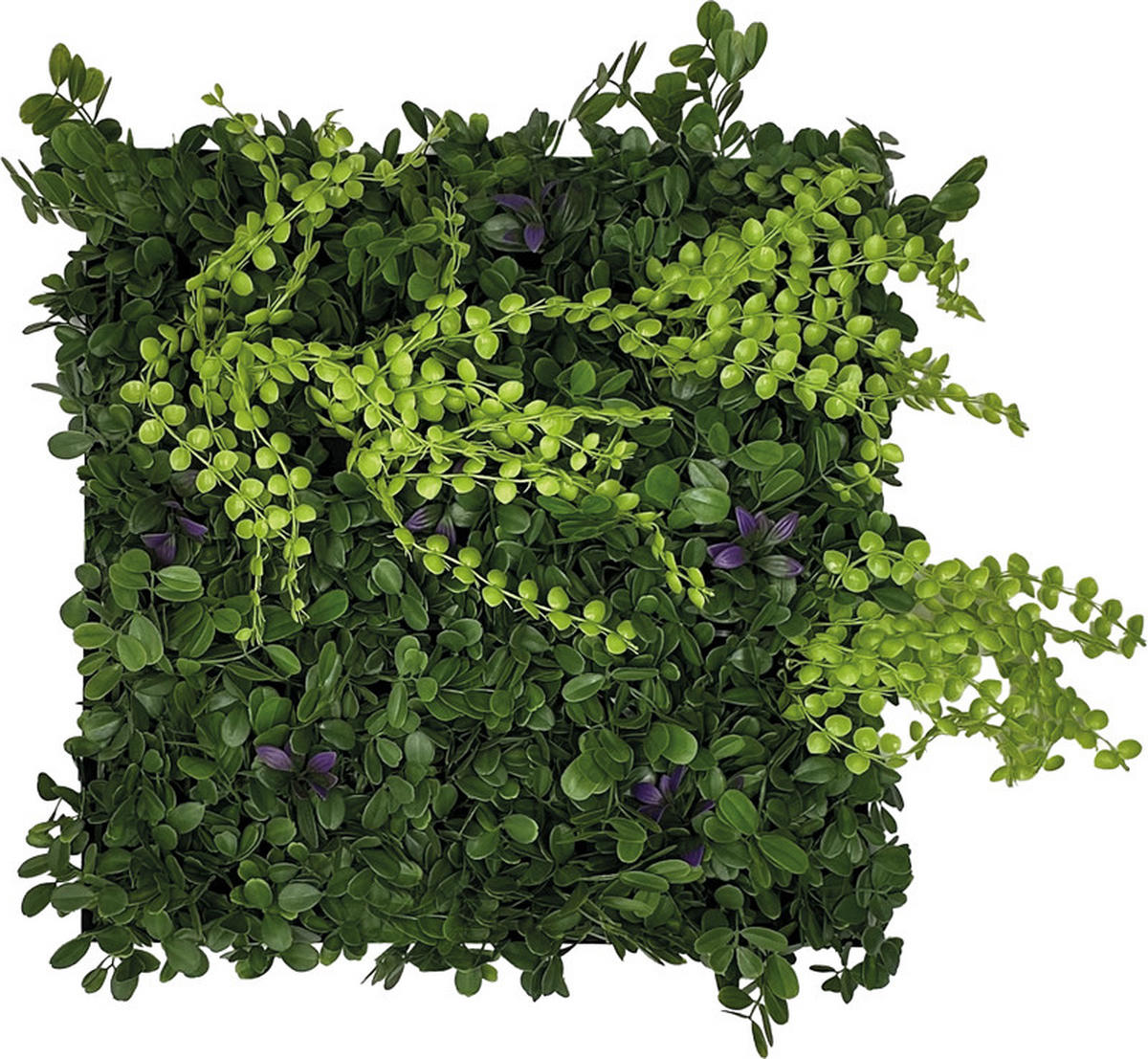 AKUSTIKPANEEL Modular Wall System Nature Design Flora 52/52/4 cm  - Grün, MODERN, Kunststoff (52/52/4cm) - Jangal