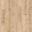 DESIGNBODEN per m² - Hellbraun/Eichefarben, MODERN, Holz/Kunststoff (128,5/19,4/0,8cm) - Parador DESIGNBODEN per m² - Hellbraun/Eichefarben, MODERN, Holz/Kunststoff (128,5/19,4/0,8cm) - Parador