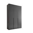 DREHTÜRENSCHRANK  in Graphitfarben  - Schwarz/Graphitfarben, MODERN, Holzwerkstoff/Kunststoff (135/225/52cm) - Carryhome