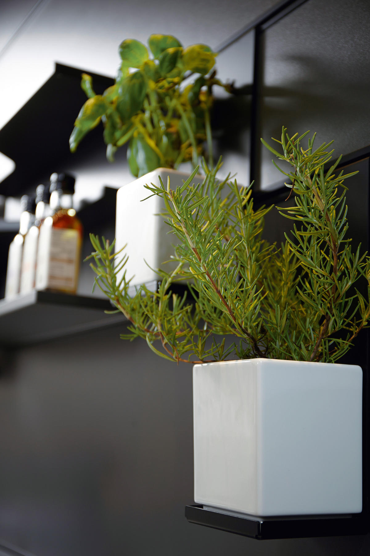 EINBAUKÜCHE SILVIA  - Rot/Schwarz, Design, Holzwerkstoff - Novel