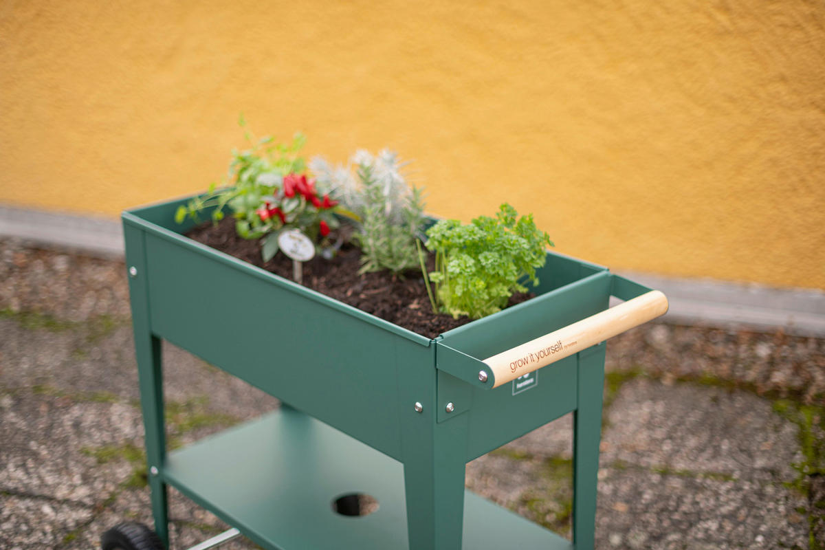 HOCHBEET 35/80/75 cm  - Olivgrün, Basics, Metall (35/80/75cm)