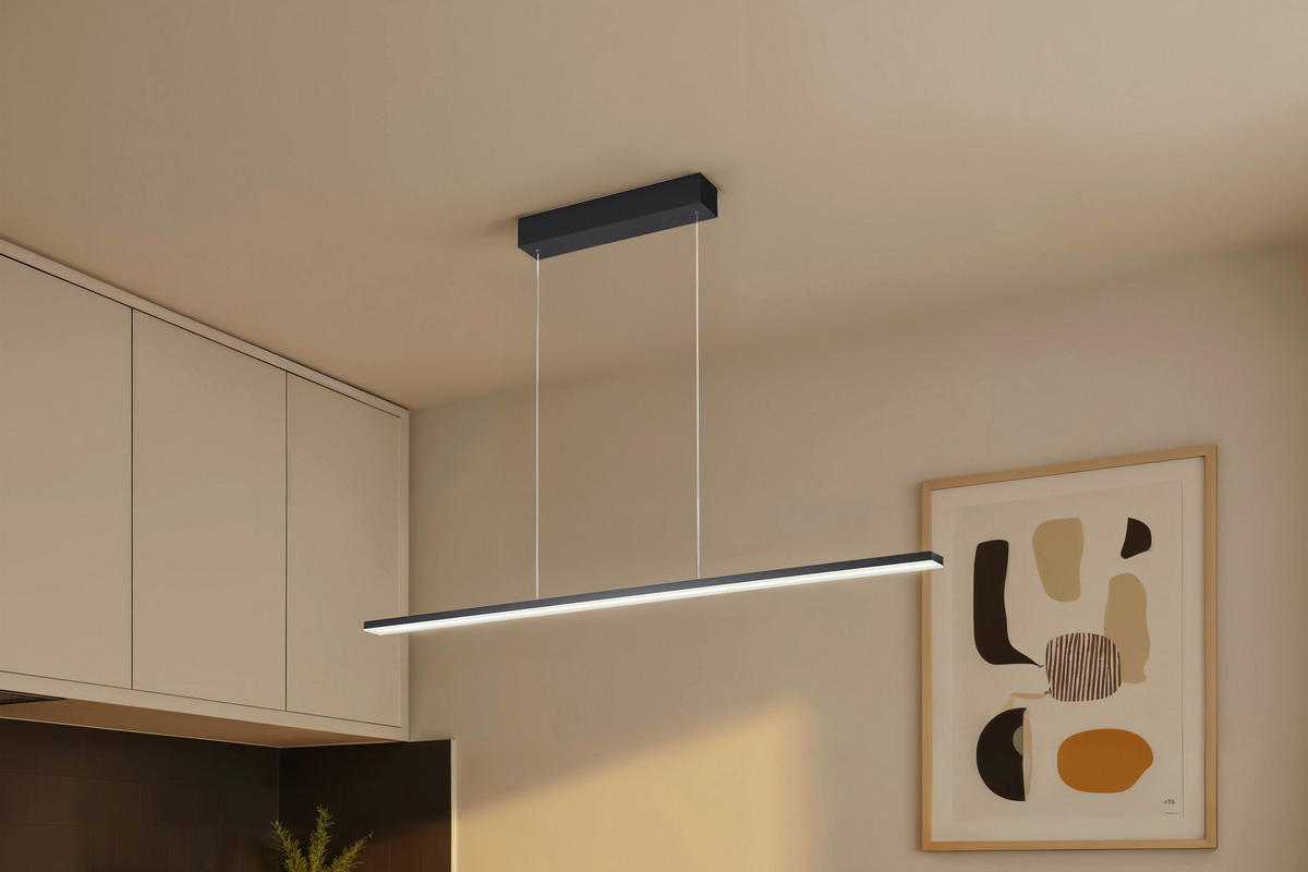 LED-HÄNGELEUCHTE Baseline 2.0 119/4/30-140 cm   - Schwarz, KONVENTIONELL, Metall (119/4/30-140cm) - BOPP