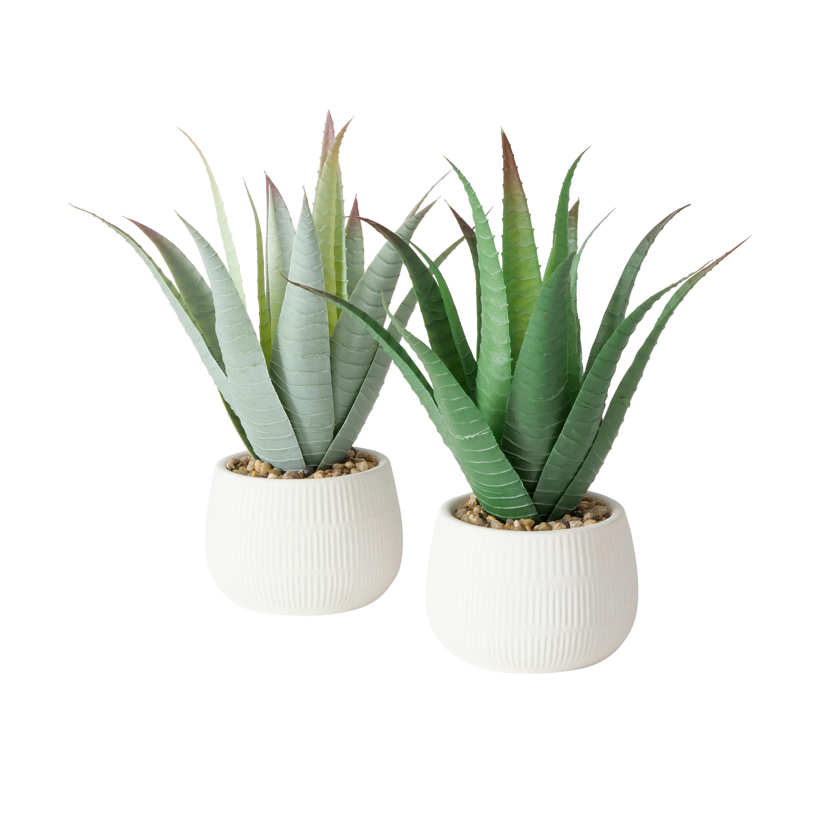 DEKOPFLANZE  - Weiss/Dunkelgrün, Basics, Kunststoff/Stein (11,5/11,5/29cm)