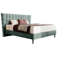 BOXSPRINGBETT 160/200 cm  in Grün  - Schwarz/Grün, Design, Holz/Holzwerkstoff (160/200cm) - Esposa