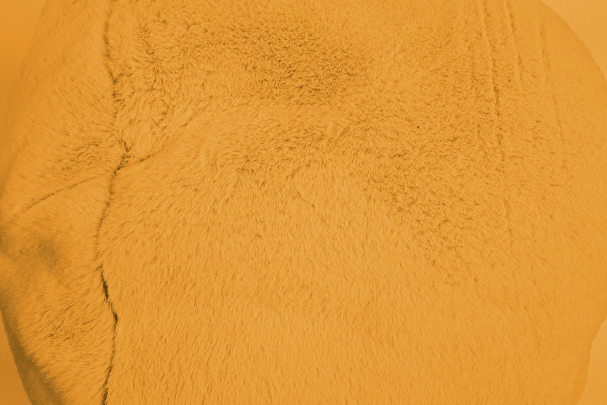 SITZSACK 100 l  - Currygelb, MODERN, Textil (65/35/55cm)