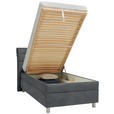 POLSTERBETT Matratze, Lattenrost Dunkelgrau 100/200 cm  - Dunkelgrau/Silberfarben, KONVENTIONELL, Holz/Textil (100/200cm) - Esposa