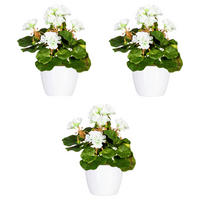 KUNSTPFLANZE Geranie 24 cm  - Weiß/Grün, Design, Keramik/Kunststoff (24cm)