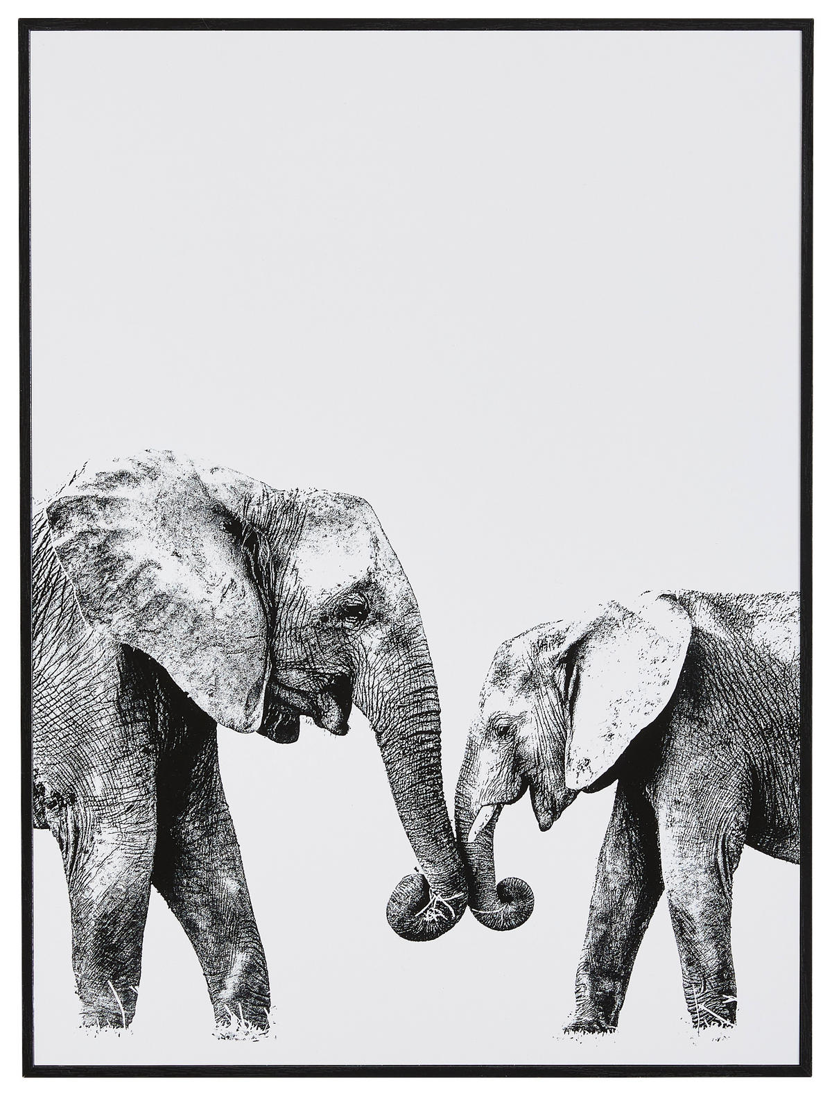 BILD Tiere  - Schwarz/Weiß, Basics, Holz/Kunststoff (30/40/2cm) - Reinders!