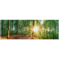GLASBILD Bäume 33/98 cm  - Multicolor, Natur, Glas (33/98cm) - Euroart