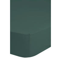 SPANNLEINTUCH 180/220 cm Renforcé  - Olivgrün/Grün, Basics, Textil (180/220cm) - MID.YOU