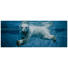 GLASBILD - Multicolor, KONVENTIONELL, Glas (50/125/1,40cm) GLASBILD - Multicolor, KONVENTIONELL, Glas (50/125/1,40cm)