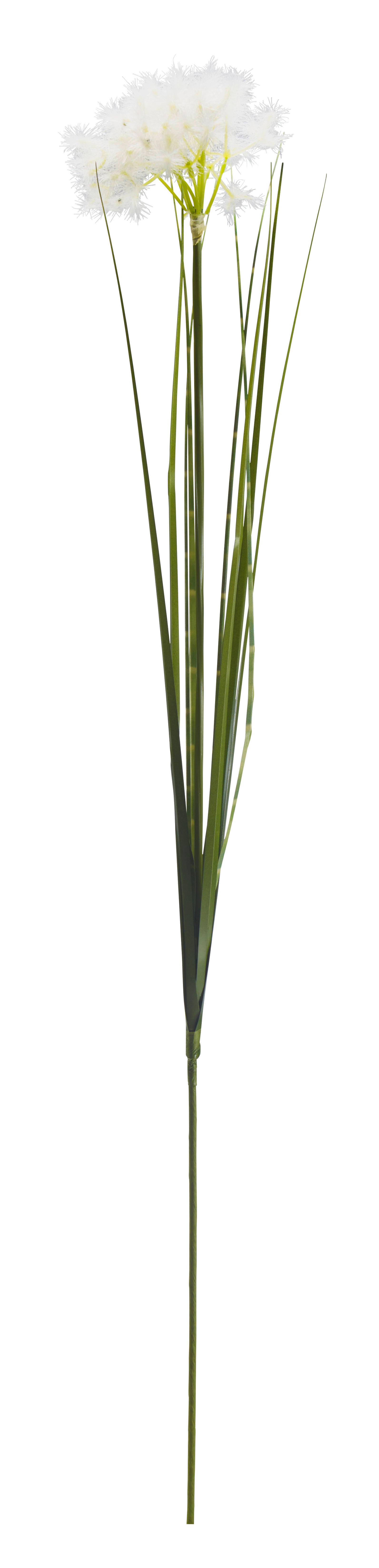 UMELÝ KVET trs trávy 83 cm cm - zelená/krémová, Basics, plast (83 cmcm)