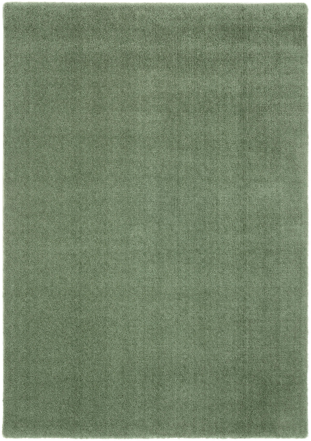 WEBTEPPICH 65/130 cm Soft Dream Olivgrün  - Olivgrün, Basics, Textil (65/130cm) - Novel