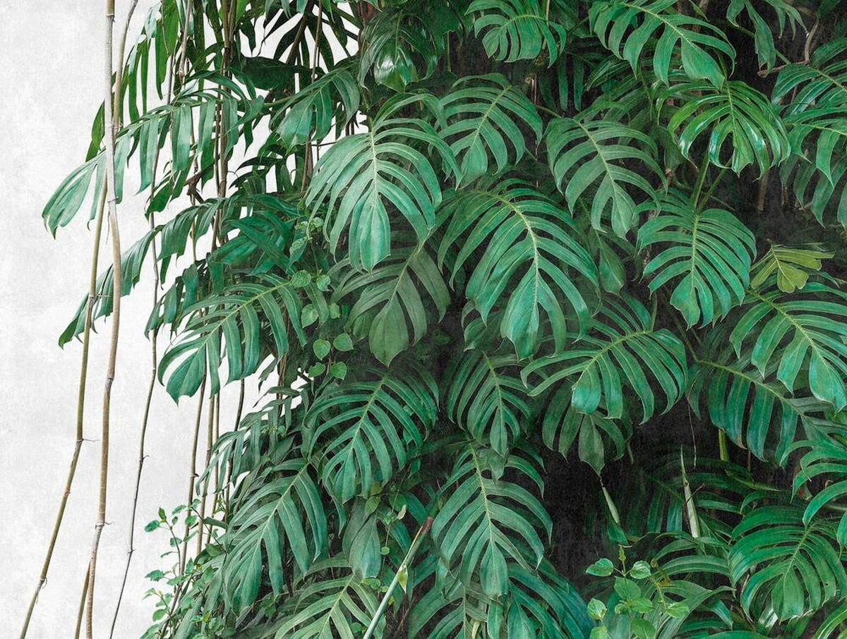 FOTOTAPETA  siva, zelena  - siva/zelena, Lifestyle, papir (371*280cm)