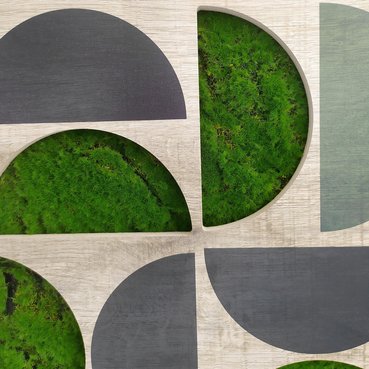 MOOSBILD 70/100 cm  - Dunkelgrün/Schwarz, Basics, Holz/Kunststoff (70/100cm)