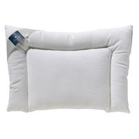 BABYKISSEN 40/60 cm  - Champagner, Basics, Textil (40/60cm) - Billerbeck