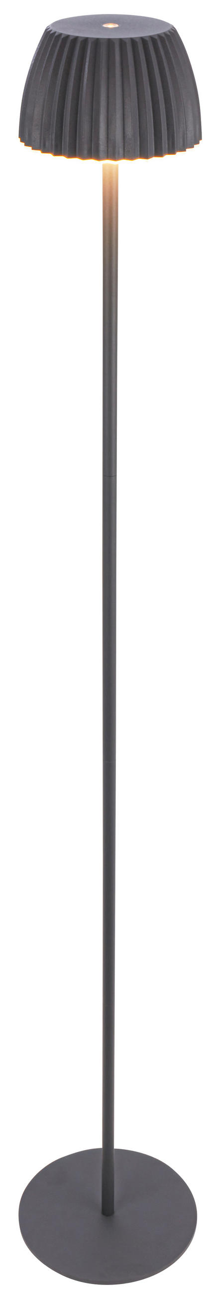 AKKU-STEHLEUCHTE 19/123,5 cm    - Schwarz, Basics, Kunststoff/Metall (19/123,5cm)