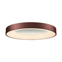 STROPNÍ LED SVÍTIDLO, 60/9 cm  - bílá, Basics, kov/plast (60/9cm)
