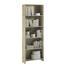 REGAL Eichefarben - Eichefarben, Design, Holzwerkstoff (60/175/24cm) - Boxxx REGAL Eichefarben - Eichefarben, Design, Holzwerkstoff (60/175/24cm) - Boxxx