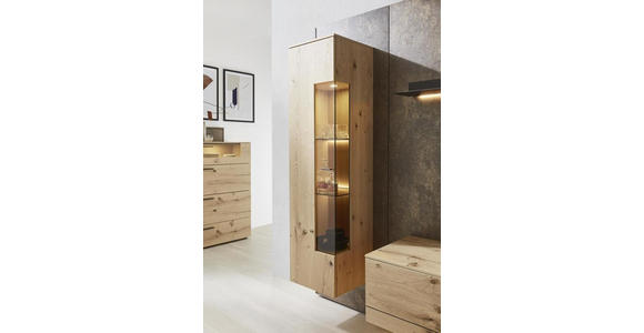 WOHNWAND 307/213,2/47,2-55,2 cm in Anthrazit, Eichefarben, Rostfarben - Eichefarben/Rostfarben, Design, Glas/Holz (307/213,2/47,2-55,2cm) - Dieter Knoll