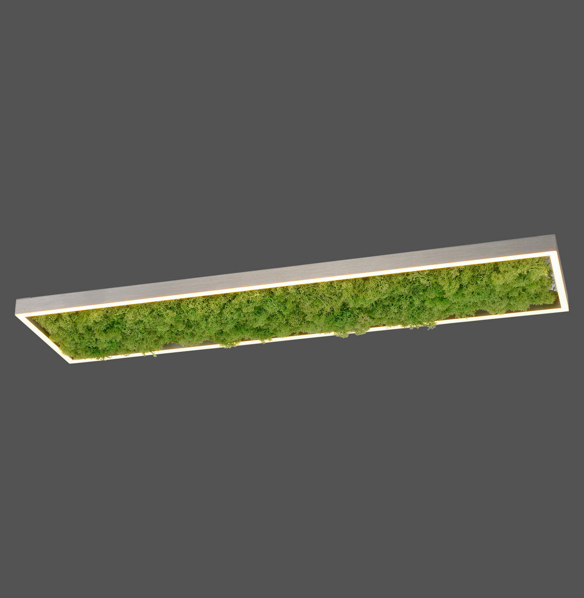 LED-DECKENLEUCHTE Green Knut 100/25/5,6 cm   - Natur, Naturmaterialien/Kunststoff (100/25/5,6cm)