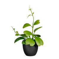 MŰNÖVÉNY - zöld, Basics, műanyag (21/21/35cm)