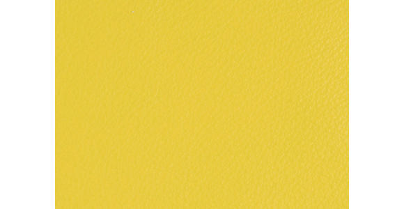 ARMLEHNSTUHL  Beinauswahl, Lederauswahl, Typenauswahl  Echtleder  - Gelb/Schwarz, Design, Leder/Metall (60/90/61cm) - Dieter Knoll