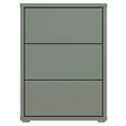 NACHTSCHRANK 50/69/42 cm  - Salbeigrün/Silberfarben, Trend, Holzwerkstoff/Kunststoff (50/69/42cm) - Carryhome